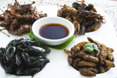 insectos-mas-consumidos