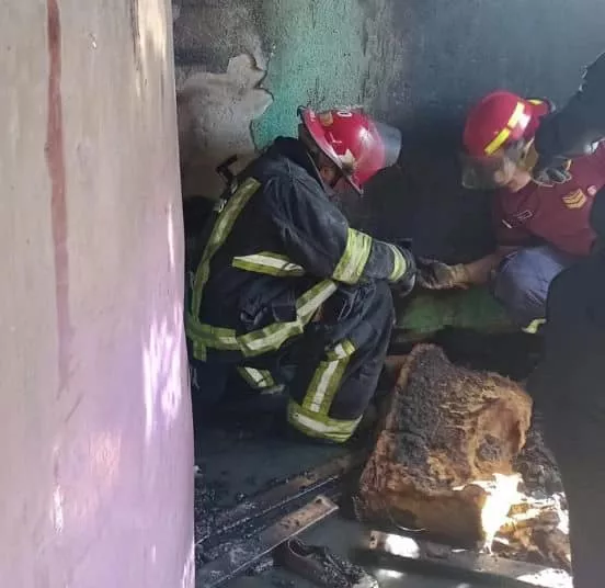 332386698_912992740055982_7936983897886569723_n