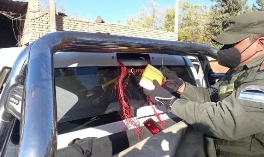 WhatsApp Image 2022-06-09 at 6.46.11 AM