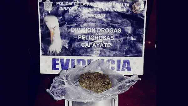 marihuana-decomisada-1