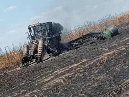 WhatsApp Image 2022-11-16 at 08.33.23