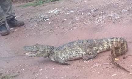 2550b358-1280-4cf2-bb4c-d46eb5a9d241