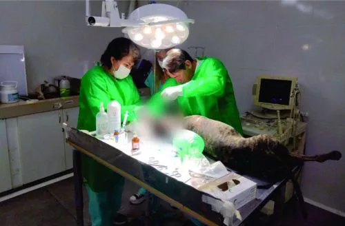 WhatsApp Image 2022-08-08 at 9.42.21 AM