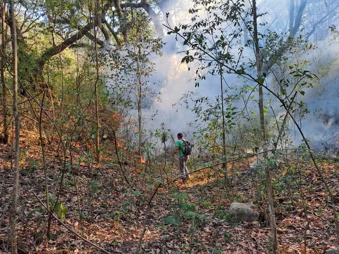 WhatsApp Image 2022-11-08 at 11.00.44 (1)