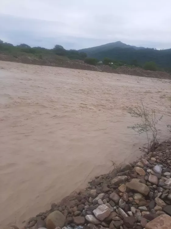 WhatsApp Image 2022-01-27 at 08.28.54