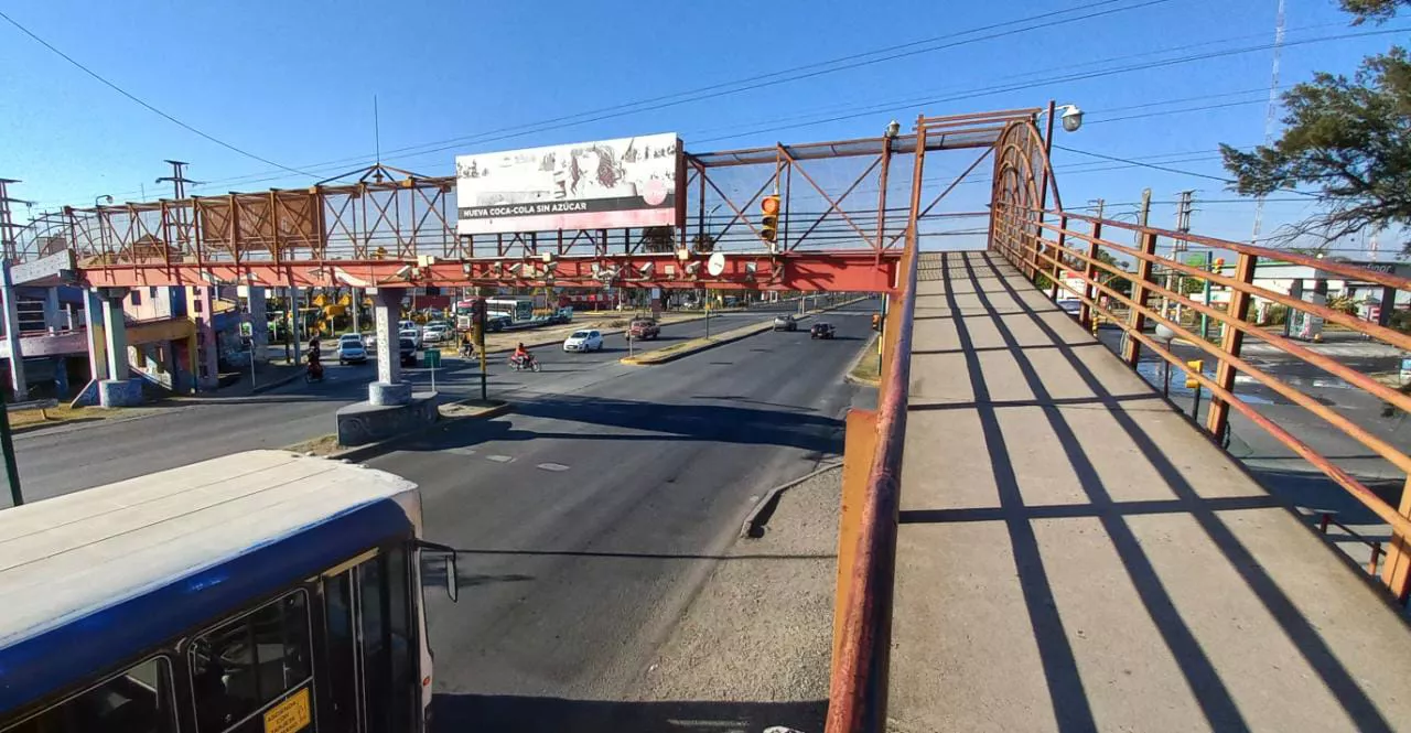 WhatsApp Image 2022-10-04 at 08.48.17