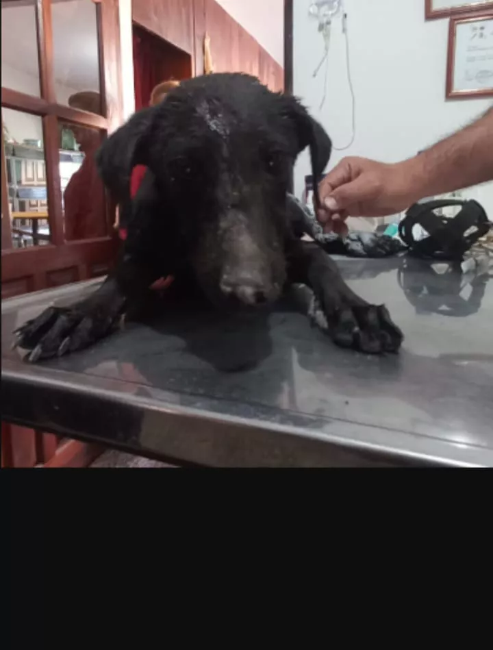 WhatsApp Image 2022-10-31 at 09.23.36 (1)