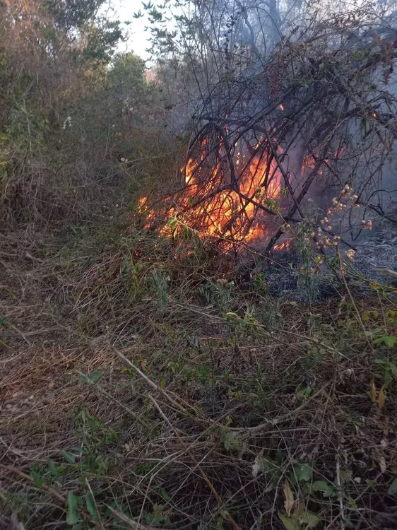 WhatsApp Image 2022-11-08 at 11.00.44 (2)