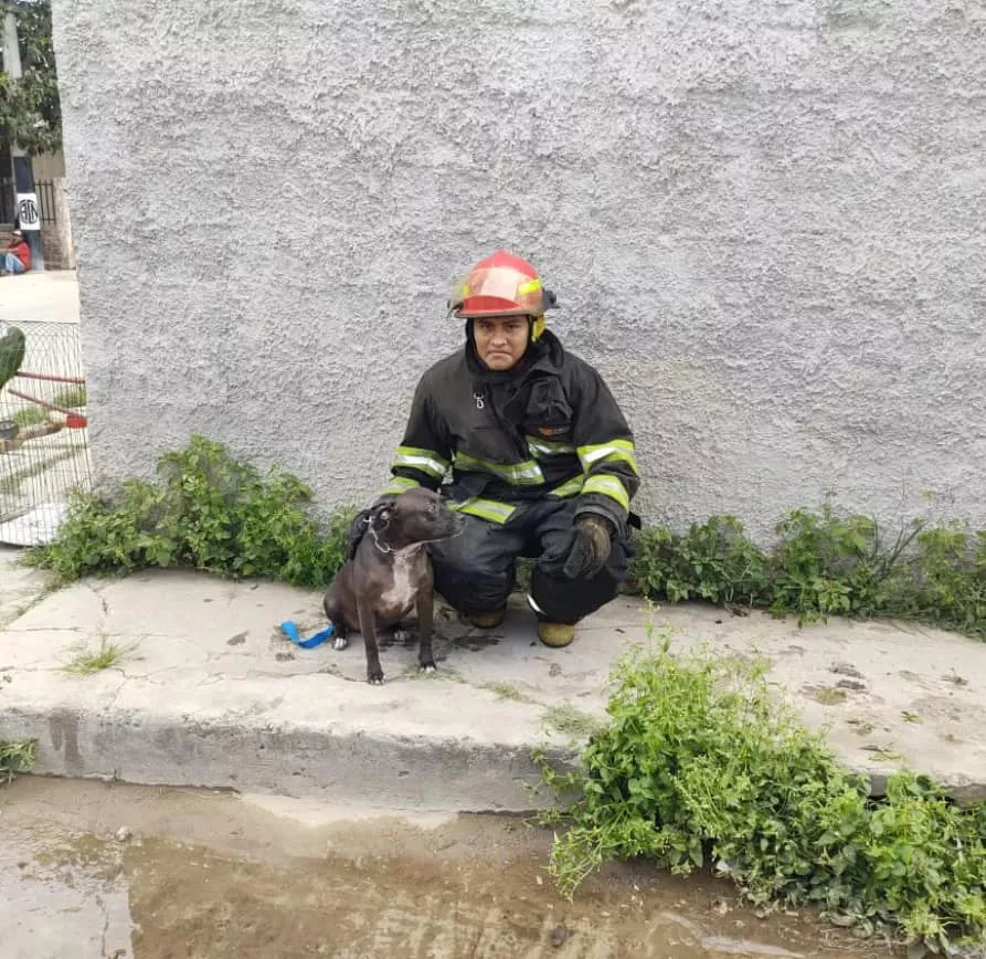 332473521_1096287985098228_3850224714230601815_n