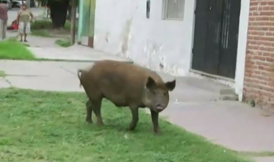 Screenshot 2023-02-23 093329