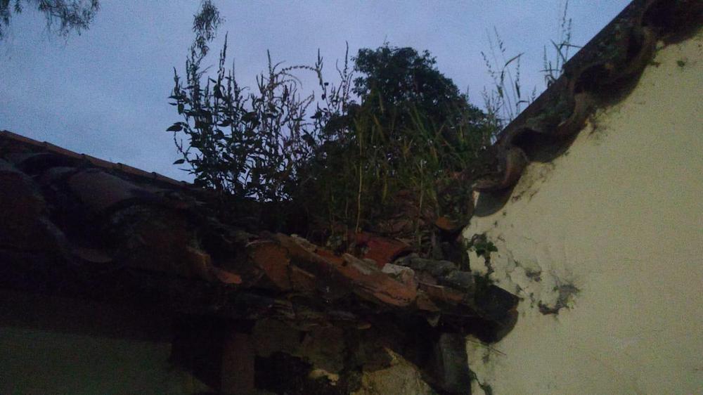 WhatsApp Image 2023-04-21 at 07.20.55 (2)