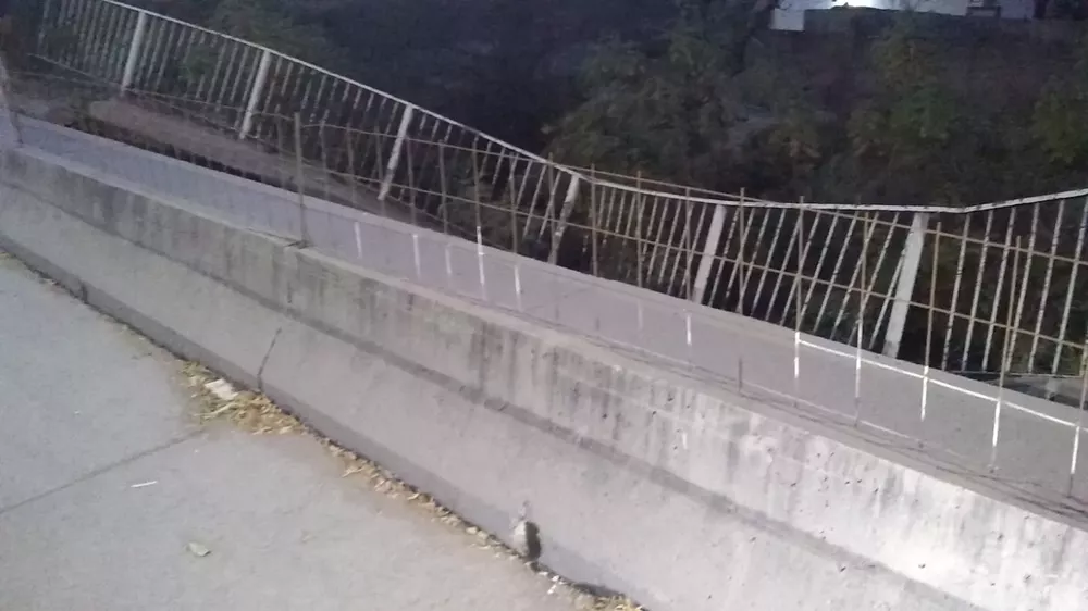 WhatsApp Image 2022-07-14 at 8.15.06 AM (1)