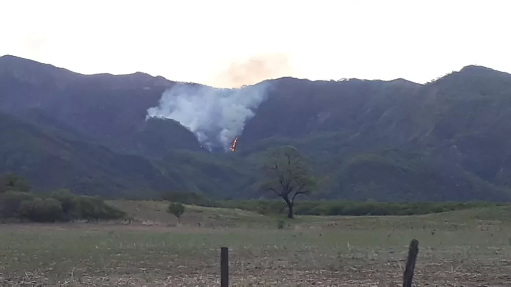 WhatsApp Image 2022-11-29 at 07.04.51 (1)