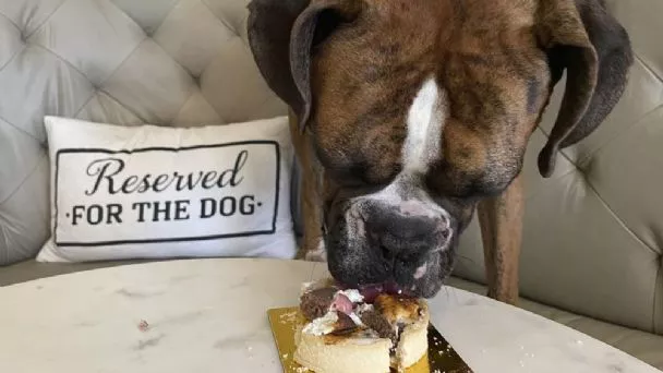 f608x342-6548_36271_15