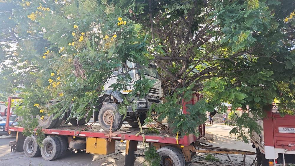 f0bfaf39-53d3-4251-843c-0eba2e94eaf1