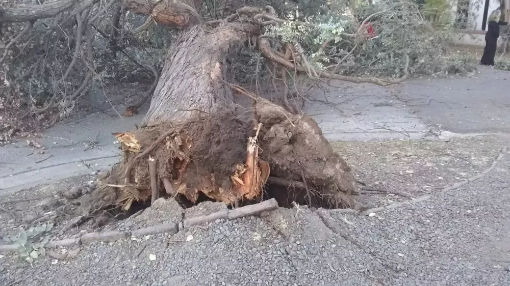 WhatsApp Image 2022-07-11 at 8.23.06 AM