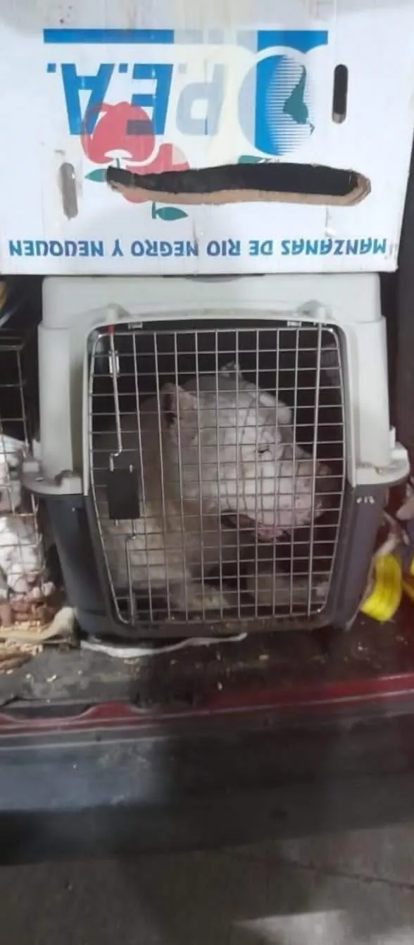 WhatsApp Image 2022-06-06 at 8.45.53 PM (1)