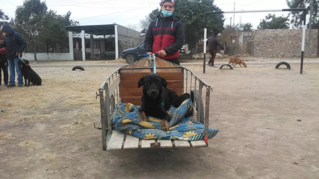 movil-quirurgico-j-m-de-rosas-1-1024x576