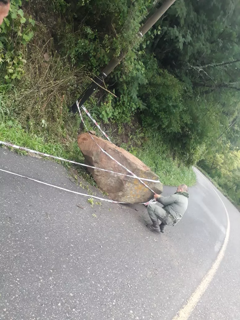 WhatsApp Image 2022-03-11 at 08.18.15