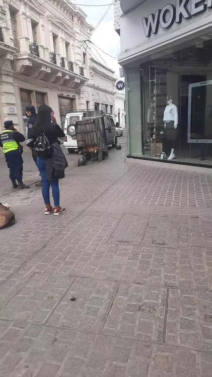 WhatsApp Image 2022-04-12 at 8.49.05 AM