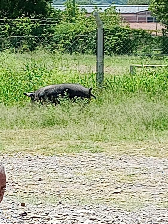 WhatsApp Image 2023-03-02 at 08.06.36