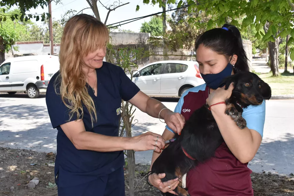 vacunacion-el-rosedal-2