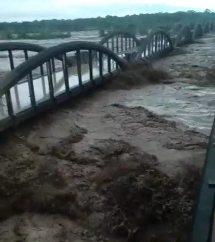 WhatsApp Image 2022-03-10 at 09.50.26