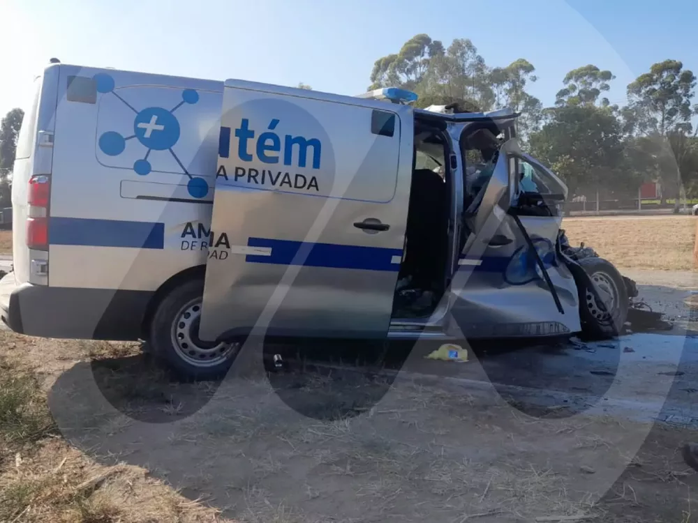 WhatsApp Image 2022-11-15 at 10.48.59 (2)