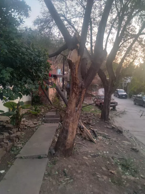 WhatsApp Image 2022-08-18 at 11.20.31 AM (1)