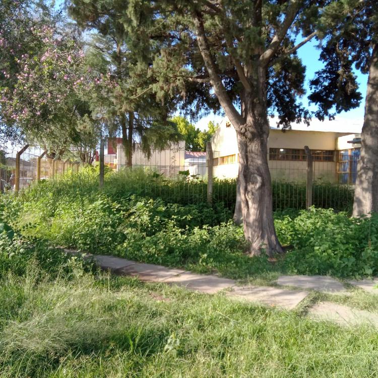 WhatsApp Image 2023-02-28 at 09.10.21