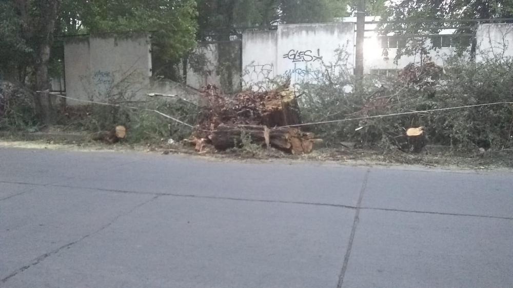 WhatsApp Image 2023-03-14 at 07.49.05