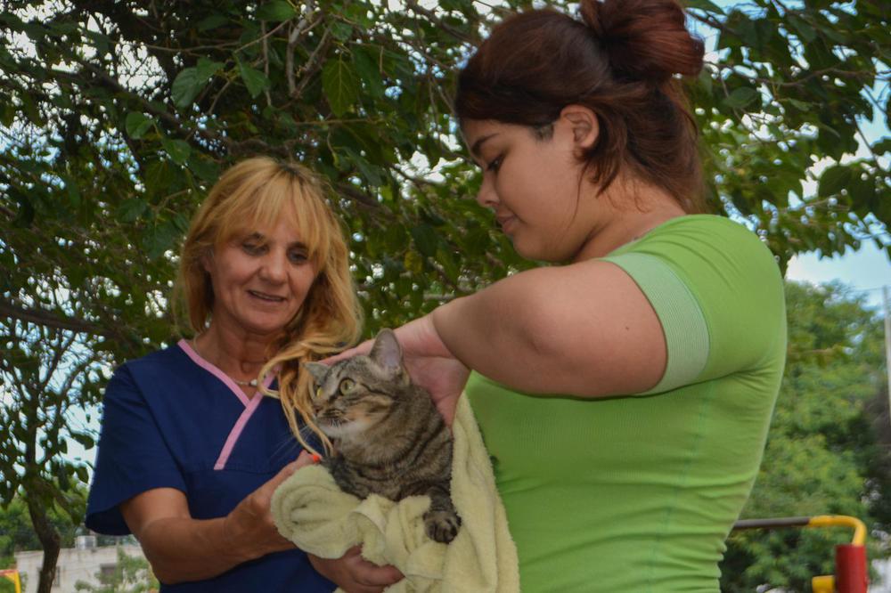 vacunacion-antirrabica-95