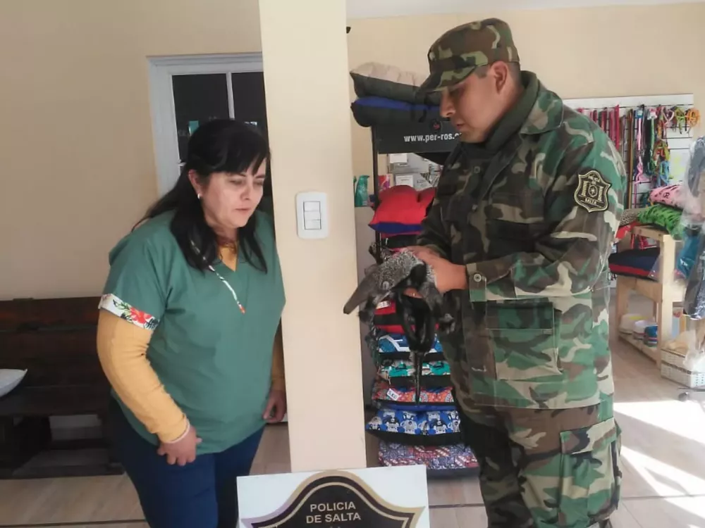 WhatsApp Image 2022-07-01 at 7.58.08 AM