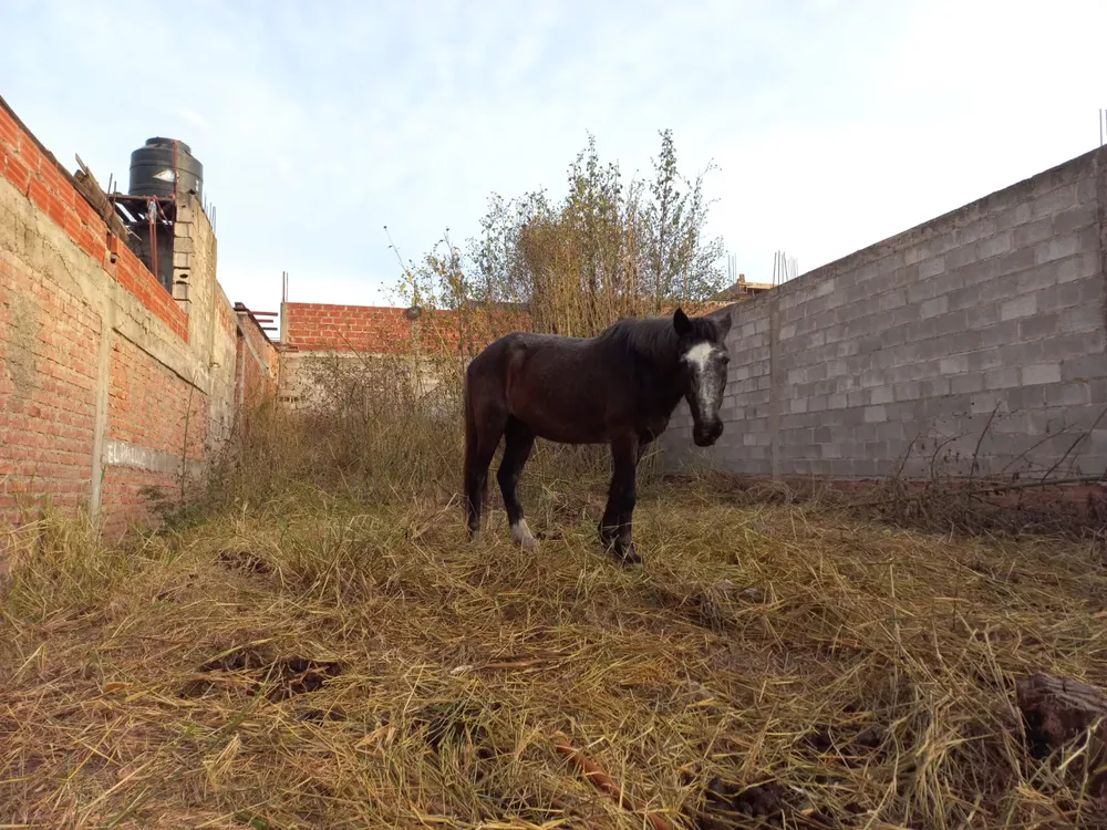 WhatsApp Image 2022-07-27 at 8.40.26 AM