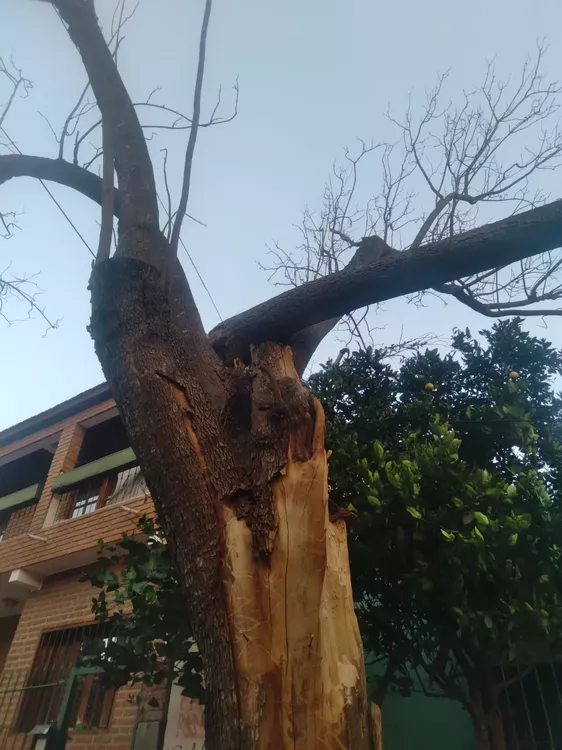 WhatsApp Image 2022-08-18 at 11.20.32 AM