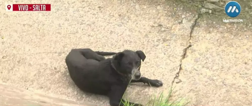 Screenshot 2023-01-31 102121