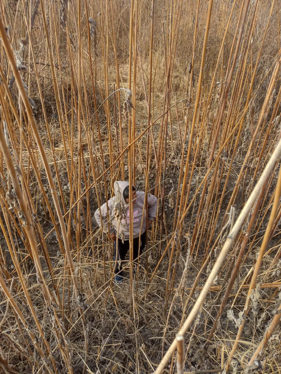 WhatsApp Image 2022-07-27 at 10.33.28 AM