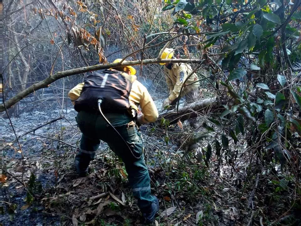 WhatsApp Image 2022-11-04 at 06.37.27