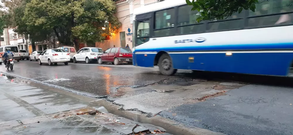 WhatsApp Image 2022-04-19 at 7.55.13 AM