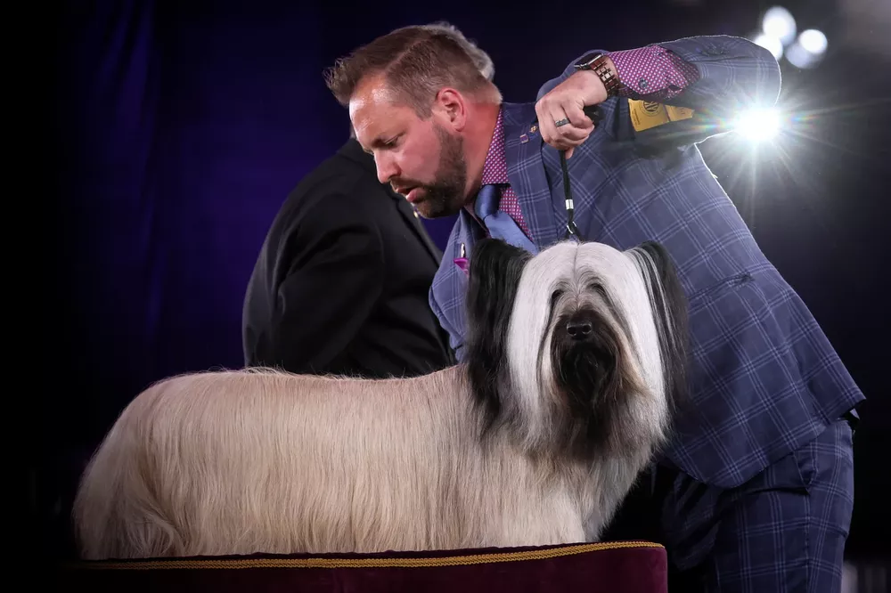 MKWTLYVQYDHNAKPUC5WBMLNT4I