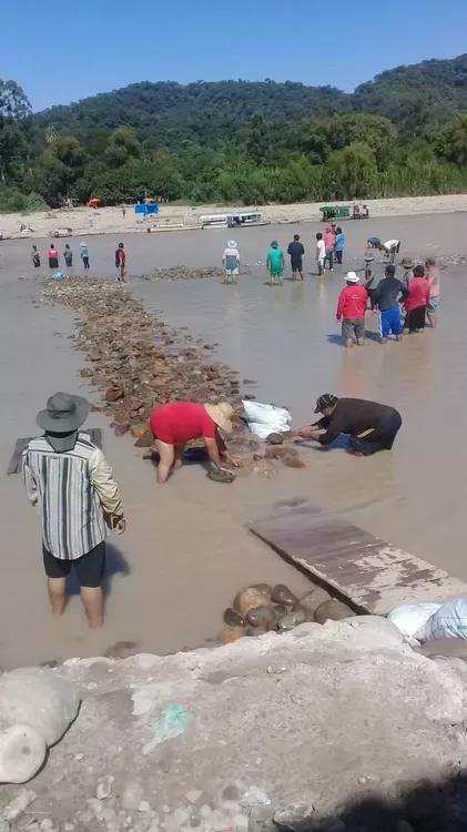 WhatsApp Image 2022-03-29 at 07.19.54