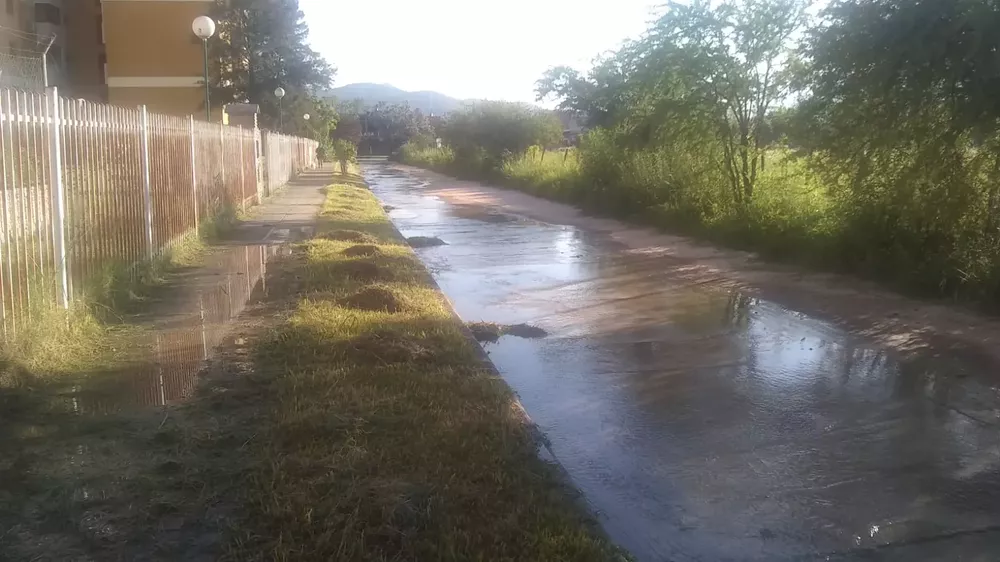 WhatsApp Image 2023-02-06 at 08.17.29