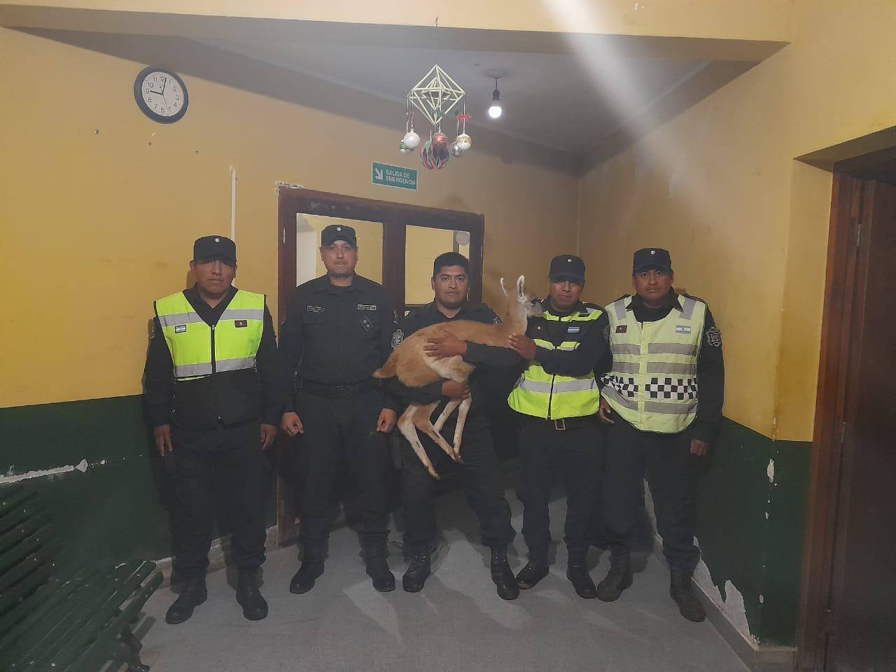 338333585_753627442935804_9102162865535158016_n