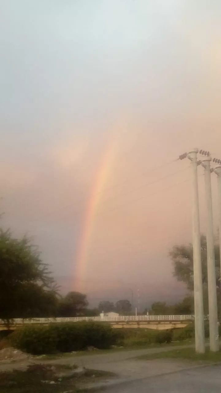 WhatsApp Image 2023-01-04 at 06.46.09