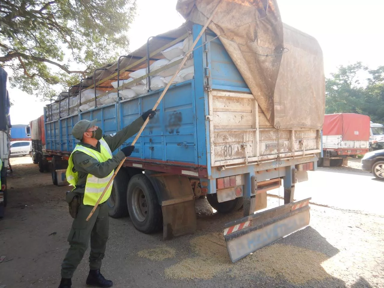 aguaray_30_toneladas_maiz_1