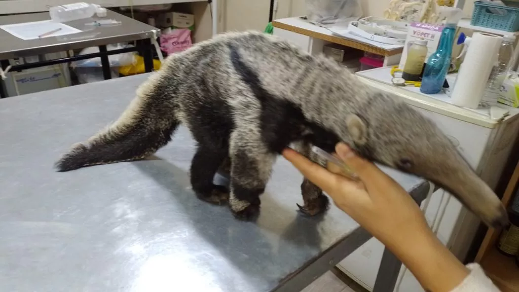 WhatsApp-Image-2022-06-30-at-6.52.50-PM-3-1024x576