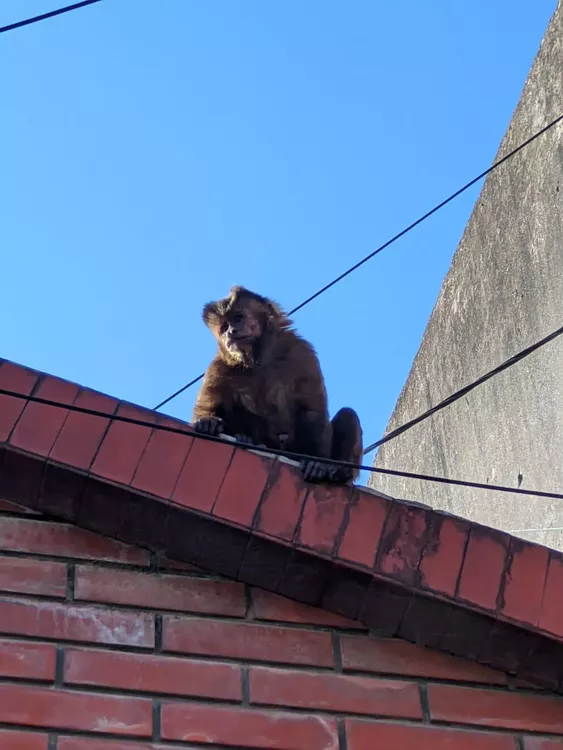 WhatsApp Image 2022-06-13 at 9.44.57 AM