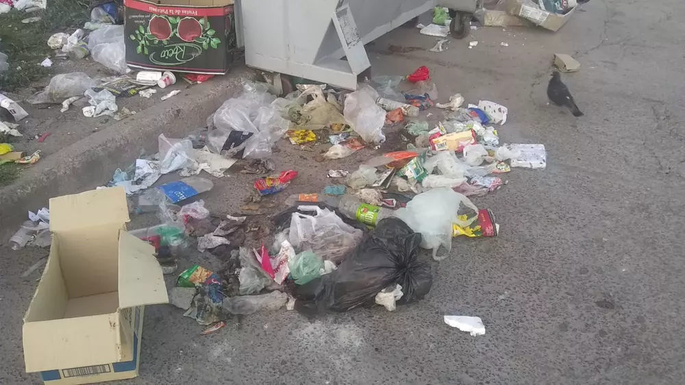 9e6aa032-c150-4a71-814a-9d3c5e99937c