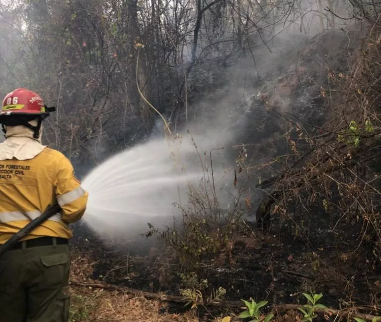 WhatsApp Image 2022-09-09 at 10.24.27 (2)