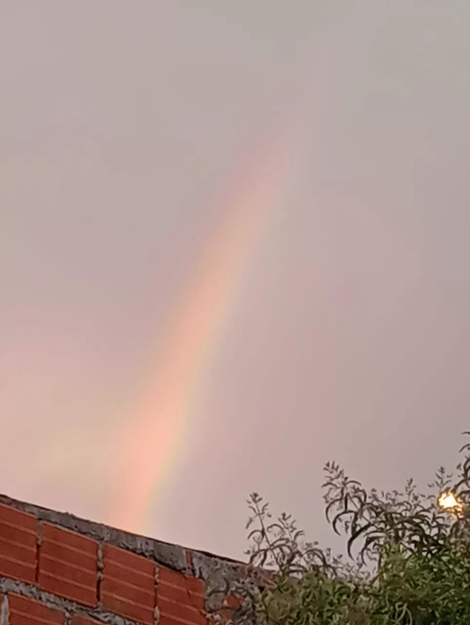 WhatsApp Image 2023-01-04 at 07.03.37